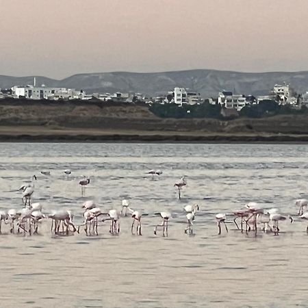 Salt Lake Ларнака Экстерьер фото